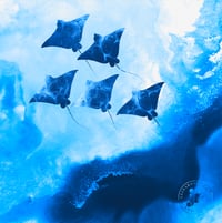 Image 2 of  Limited Edition Fine Art Print | Ocean x Art Fusion Collection Eagle Ray Design
