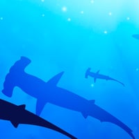 Image 3 of Limited Edition Fine Art Print | Hammerhead Shark Swarm