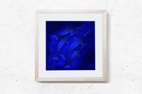 Image 4 of Limited Edition Fine Art Print |  Narwhals