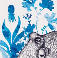 Image 2 of  Limited Edition Fine Art Print | Octopuses 