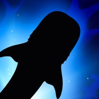 Image 2 of Limited Edition Fine Art Print | Whale Shark