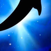Image 3 of Limited Edition Fine Art Print | Whale Shark