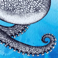 Image 2 of Limited Edition Fine Art Print | Coconut Octopus