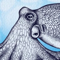 Image 3 of Limited Edition Fine Art Print | Coconut Octopus