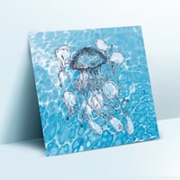 Image 1 of Limited Edition Fine Art Print | Jellyfish with 9 plastic bags
