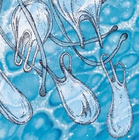 Image 2 of Limited Edition Fine Art Print | Jellyfish with 9 plastic bags