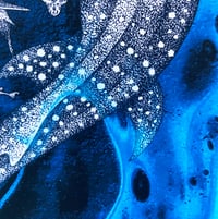 Image 2 of Limited Edition Fine Art Print | Shark Love
