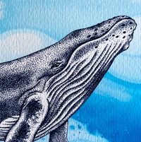 Image 3 of Limited Edition Fine Art Print | Humpback Whale
