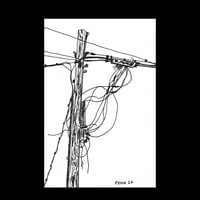 Telephone Pole #19