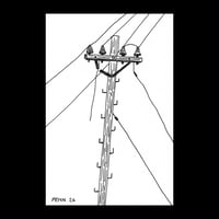 Telephone Pole #22