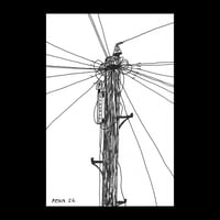 Telephone Pole #23