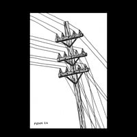 Telephone Pole #24