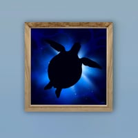 Image 2 of Limited Edition Fine Art Print | World Sea Turtle Day