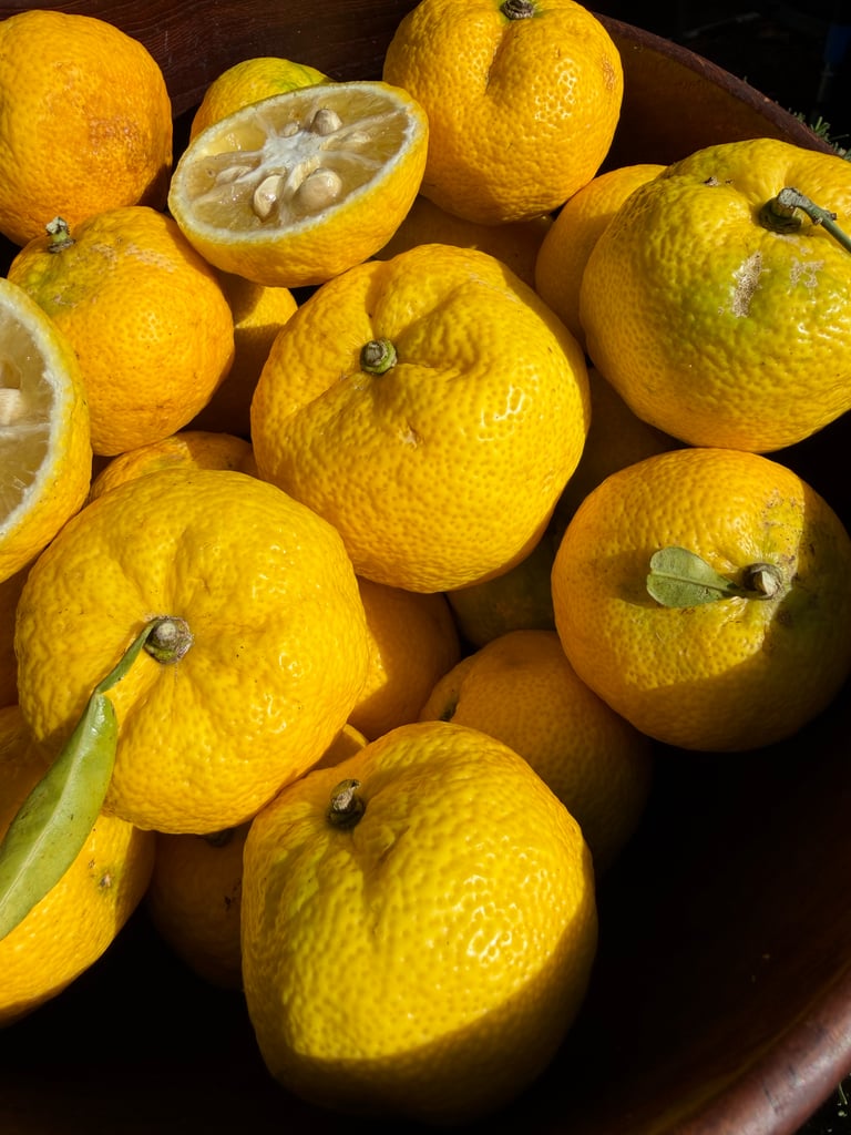 Fresh California Organic Yuzu Citrus Box Image 3