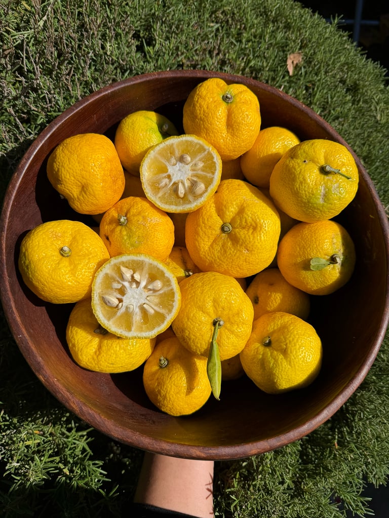 Fresh California Organic Yuzu Citrus Box