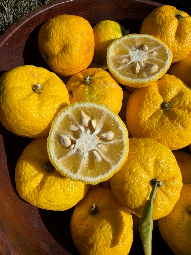Fresh California Organic Yuzu Citrus Box Image 2