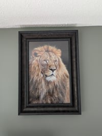 Image 3 of Mufasa