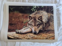 Image 3 of A Wolfe in Canada