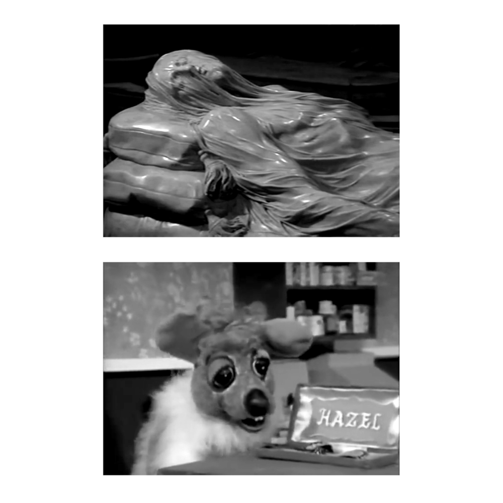 1-800-HOT-DUCK - A SPECIFIC FEELING AT AN UNSPECIFIED TIME ZINE
