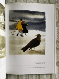 Image 7 of Birds by Mary Fedden