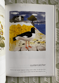 Image 8 of Birds by Mary Fedden