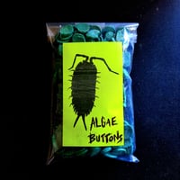 Image 2 of Algae Buttons 