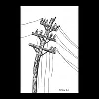 Telephone Pole #26