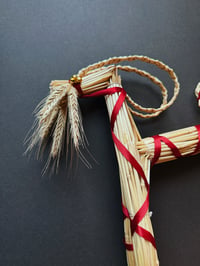 Image 3 of Julbock Goat