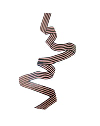 Image 1 of Jumbo Ribbon No.5 Print in Walnut