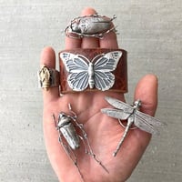 Image 8 of Miraculous Critters workshop, October 4-8 2027