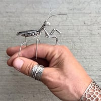 Image 3 of Miraculous Critters workshop, October 4-8 2027
