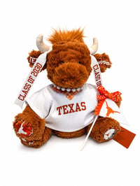 Image 3 of Custom Jellycat with Jersey
