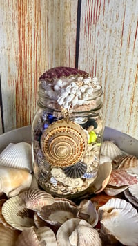 Image 1 of 🐚 Coastal Mystery Jewelry Jar 