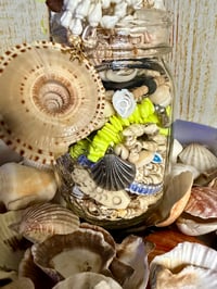 Image 2 of 🐚 Coastal Mystery Jewelry Jar 