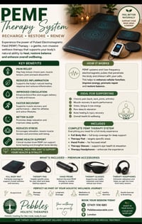 PEMF Therapy System 