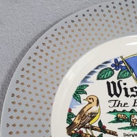 Image 3 of Wisconsin State Souvenir Plate, Homer Laughlin E53N5, Cavalier Eggshell, #1007