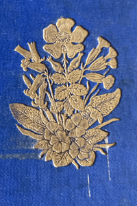 Image 3 of Haunts of the Wild Flowers by Anne Pratt