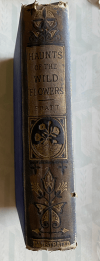 Image 4 of Haunts of the Wild Flowers by Anne Pratt