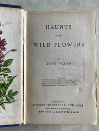 Image 8 of Haunts of the Wild Flowers by Anne Pratt