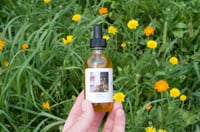 Image 1 of Herbal Face Oil