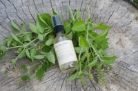 Image 2 of Holy Basil Hydrosol