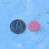 Image 4 of Matte Blush Pink Czech Glass Dragonfly Focal Beads, 17mm Round Nature Inspired