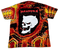 Image 1 of Pantera - By Demons Be Driven