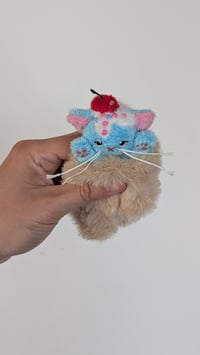 Image 2 of Beau