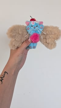 Image 3 of Beau