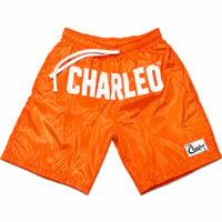 Image 3 of The Charleo Motion Short