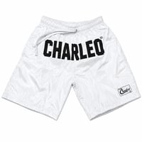 Image 2 of The Charleo Motion Short