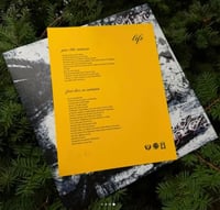 Image 4 of LIFE/Bodyshirt split 12" one sided Silver vinyl
