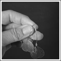 Image 3 of Ginkgo Leaf