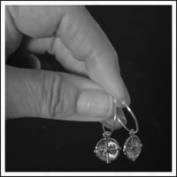 Image 3 of Radiate